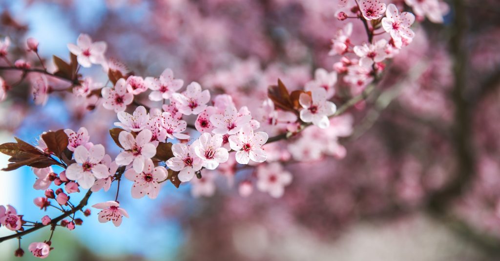 Spring Is a Natural Reset Point